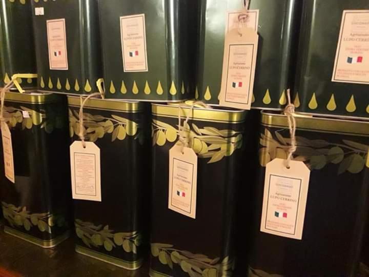 تاركوينيا Agriturismo Lupo Cerrino المظهر الخارجي الصورة