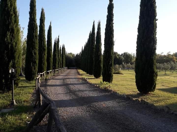 تاركوينيا Agriturismo Lupo Cerrino المظهر الخارجي الصورة