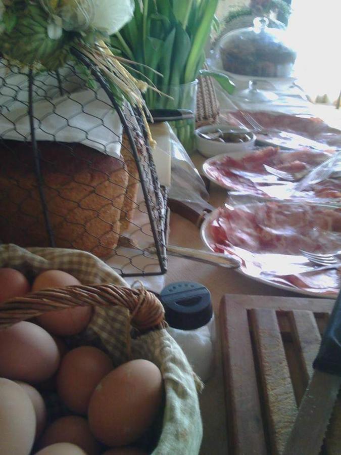 تاركوينيا Agriturismo Lupo Cerrino المظهر الخارجي الصورة