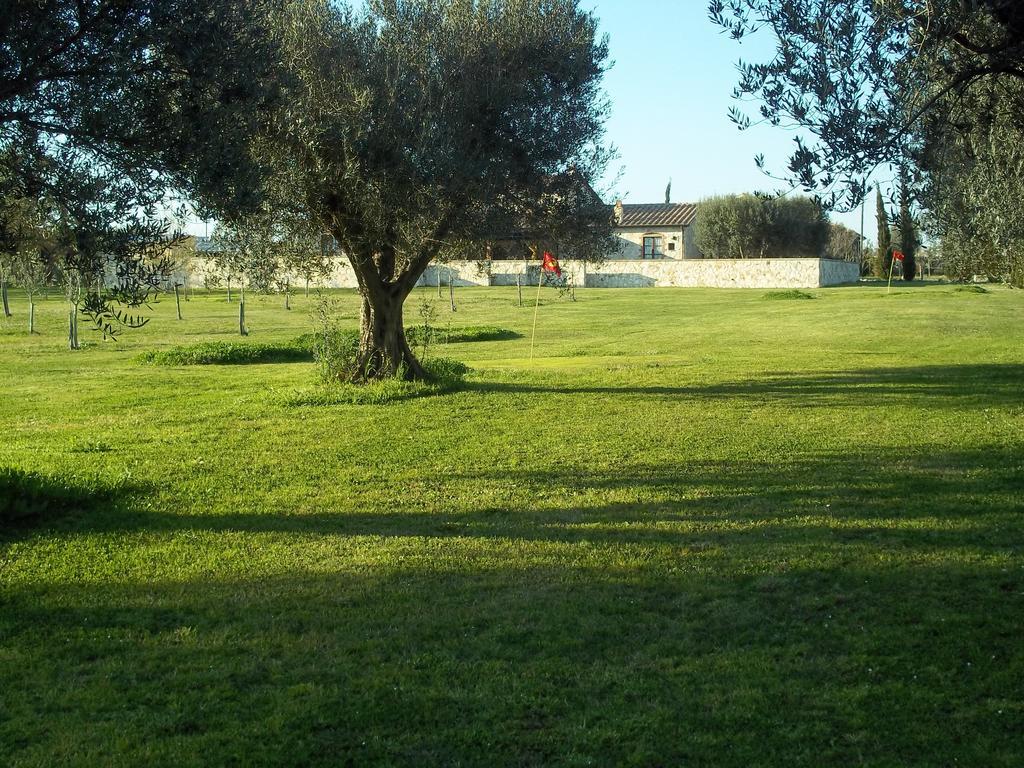 تاركوينيا Agriturismo Lupo Cerrino المظهر الخارجي الصورة