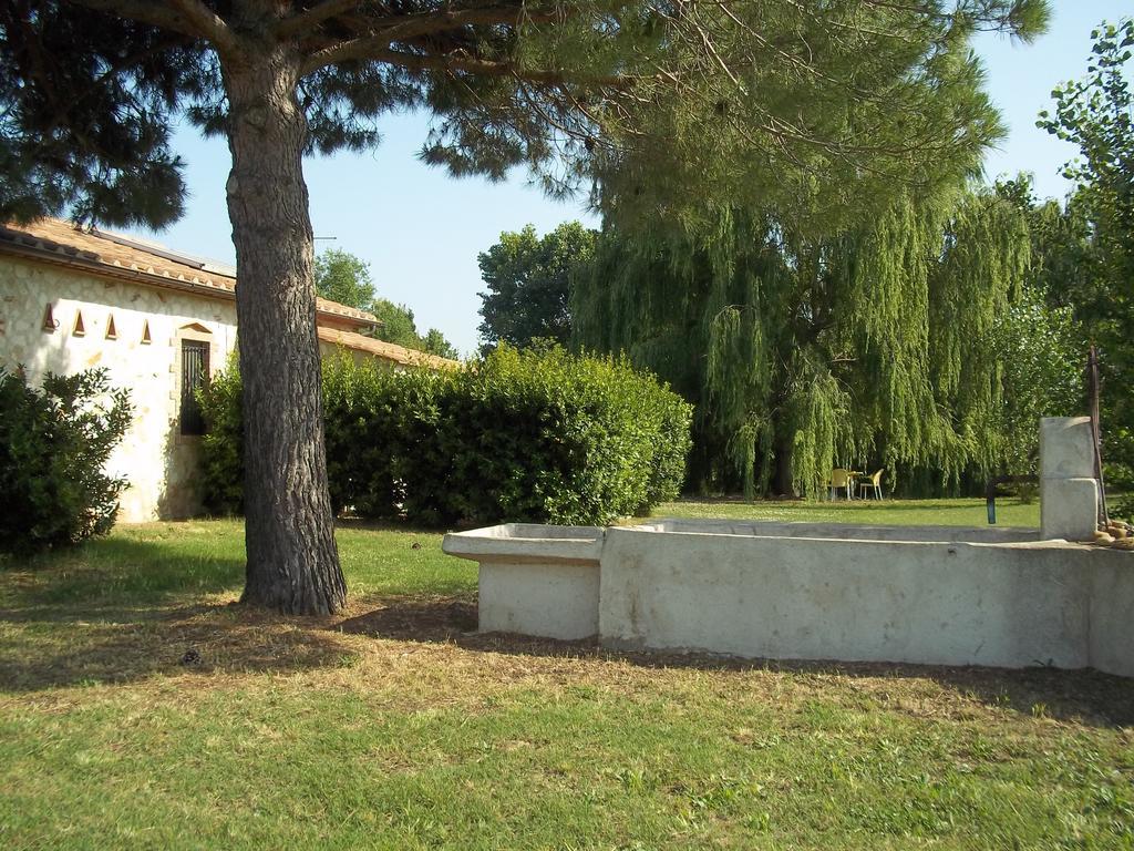 تاركوينيا Agriturismo Lupo Cerrino الغرفة الصورة